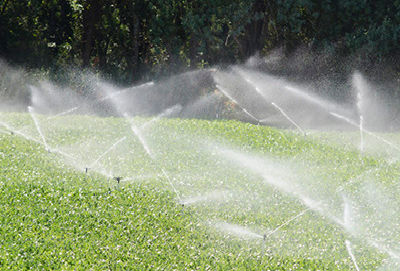 智能喷灌系统厂家